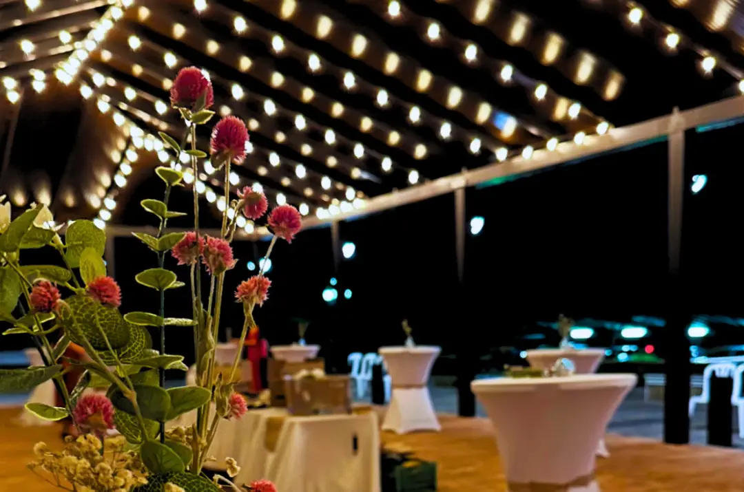 decoracion-carpa-manglana